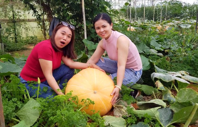 Đà Lạt: Những địa điểm chụp ảnh ‘ma ám’ mùa Halloween - ảnh 4