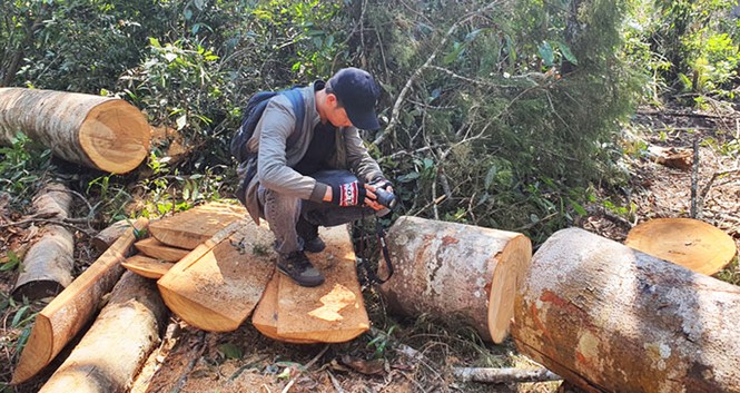 Hỏa tốc chỉ đạo điều tra vụ tàn phá rừng nguyên sinh - ảnh 2