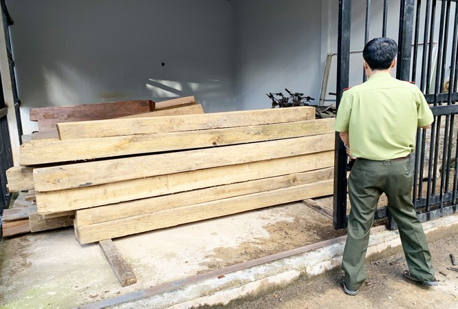 Hỏa tốc chỉ đạo điều tra vụ tàn phá rừng nguyên sinh - ảnh 3