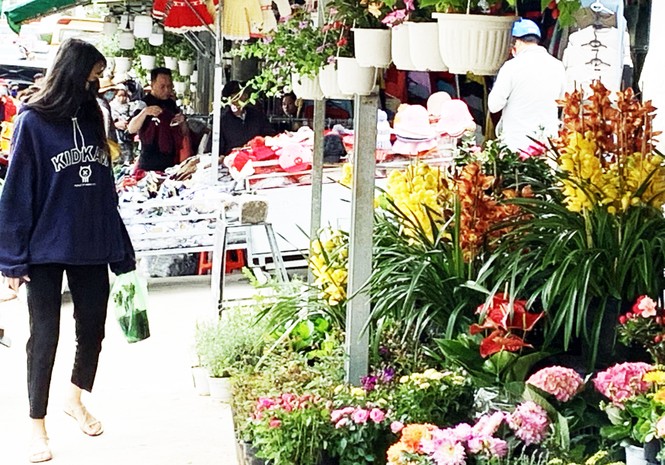 Địa lan Đà Lạt đua nở trước Tết, người trồng 'như ngồi trên lửa' - ảnh 2