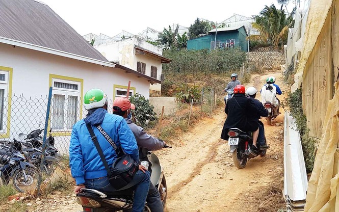 Du khách bị ‘chặt chém’ trên đường vào ngắm rừng mai anh đào - ảnh 2