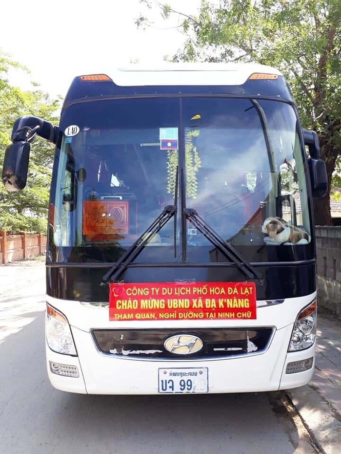Xe khách biển số Lào, Campuchia hoạt động rầm rộ ở Lâm Đồng - ảnh 4