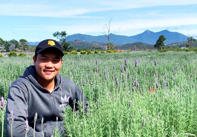 Đến Đà Lạt ngắm đồi hoa oải hương thơm ngát, đẹp như trời Âu - ảnh 2