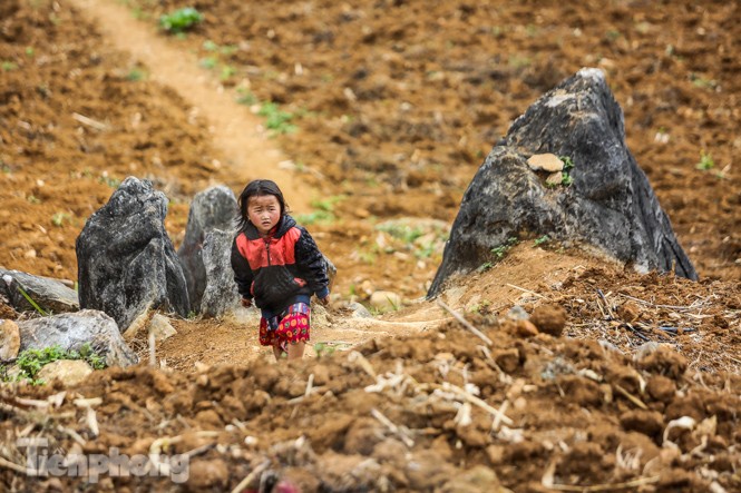 Ngắm nét ngây thơ của những đứa trẻ vùng cao nguyên đá Hà Giang - ảnh 11