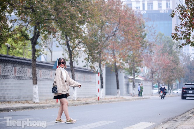 Đẹp ngỡ ngàng với hàng phong thay lá đỏ giữa Hà Nội - ảnh 14