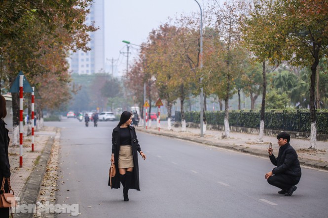 Đẹp ngỡ ngàng với hàng phong thay lá đỏ giữa Hà Nội - ảnh 3