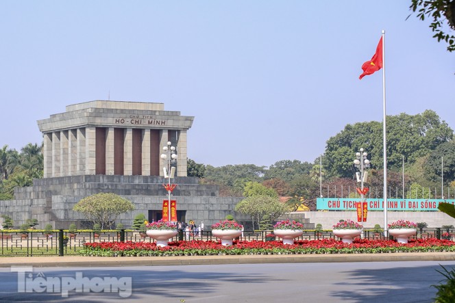 Hà Nội rực rỡ hoa chào mừng Đại hội Đảng lần thứ XIII - ảnh 15