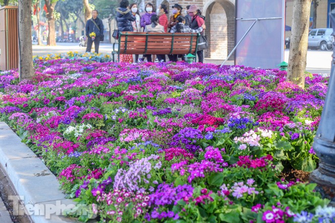 Hà Nội rực rỡ hoa chào mừng Đại hội Đảng lần thứ XIII - ảnh 1