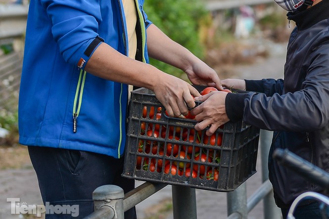 Người dân Thủ đô nườm nượp đến 'giải cứu' nông sản cho Hải Dương - ảnh 12