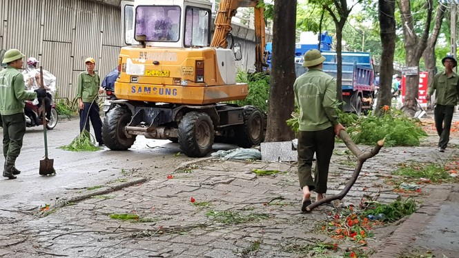 Hải Phòng ngổn ngang cây đổ sau bão số 2 - ảnh 10