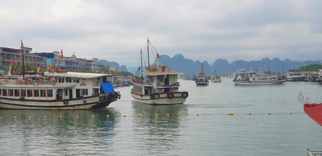 Vịnh Hạ Long, phí liên tục tăng nhưng chất lượng có tăng? - ảnh 3