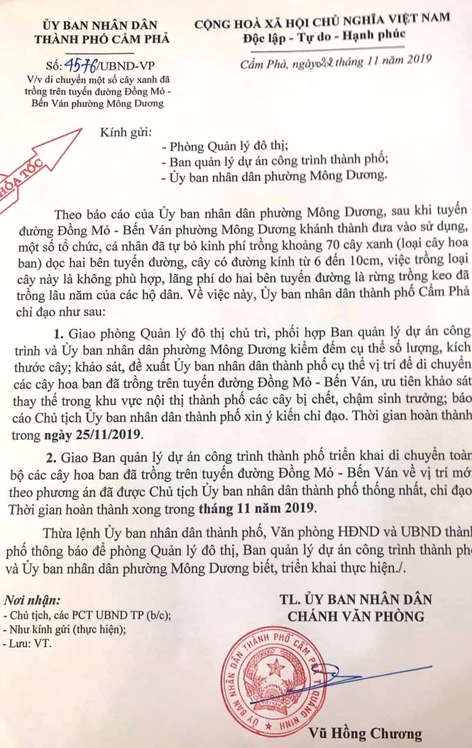 Vụ hàng cây tiền tỷ 'tự mọc': Cẩm Phả phát đi công văn hỏa tốc - ảnh 2