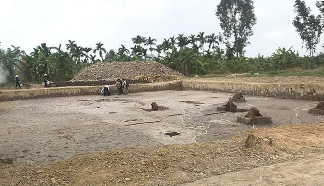 Phát hiện bãi cọc gần nghìn năm tuổi ở Hải Phòng - ảnh 1