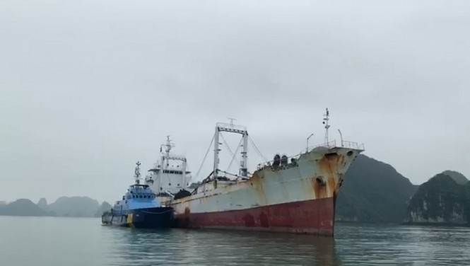 Bắt giữ vụ buôn lậu thuốc lá lớn nhất từ trước đến nay - ảnh 1