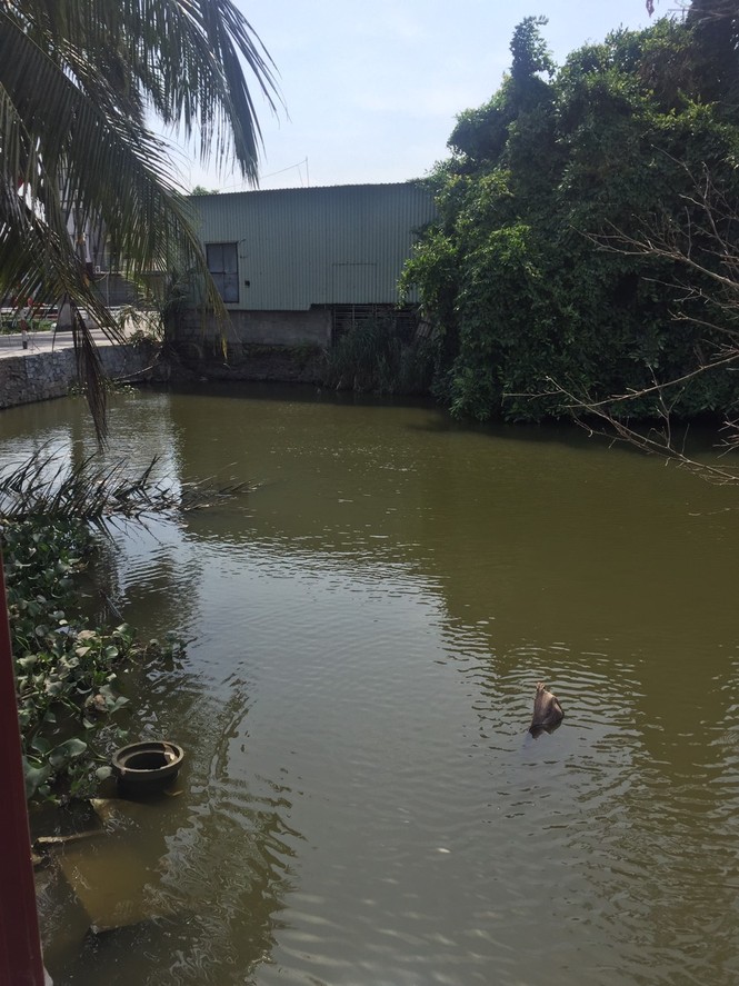 Hải Phòng thu hồi toàn bộ nước đóng chai được sản xuất từ nguồn mương nước thải - ảnh 2