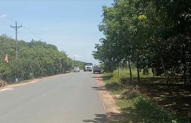 Bình Dương: Giao hai Sở phối hợp xử lý “cát tặc” hồ Dầu Tiếng - ảnh 2