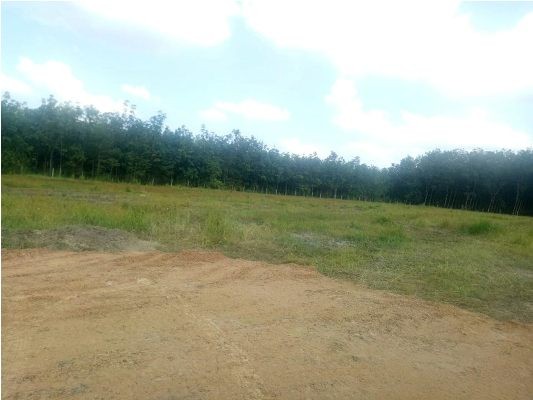 Bình Dương: Dấu hiệu lừa đảo tại dự án KDC Chánh Phú Hòa - ảnh 3