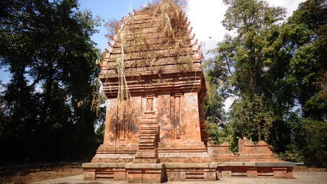 Sững sờ tháp Chăm giữa đại ngàn - ảnh 2