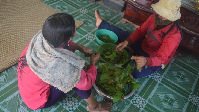 Tìm về Giấc mơ Chapi - ảnh 2
