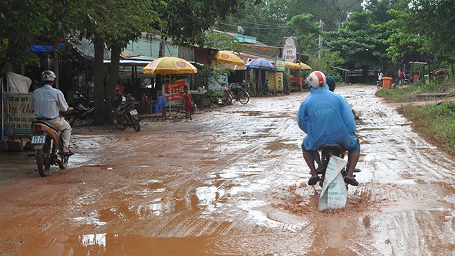 Trăn trở từ đảo Ngọc - ảnh 1