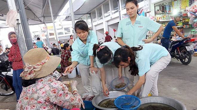 14 triệu lao động, ai bảo vệ? - ảnh 1