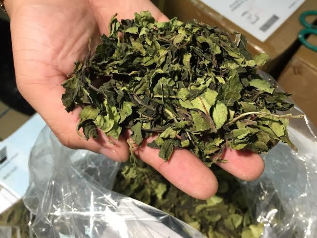 Phá vụ vận chuyển 2,5 tấn ma túy thảo mộc: Lá “Khat” có thể gây ung thư, mù mắt - ảnh 1