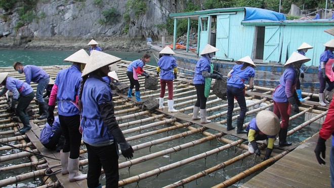 Vào vương quốc ngọc trai - ảnh 2