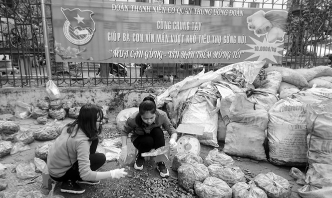Khi cán bộ Đoàn giải cứu nông sản - ảnh 1
