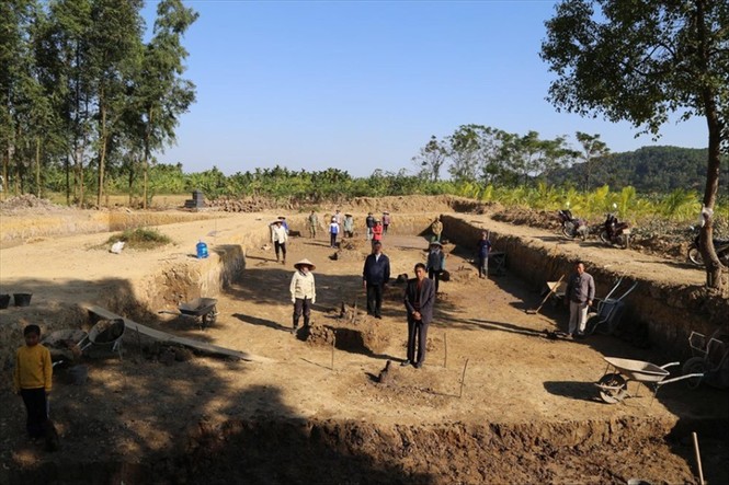 Phát lộ bãi cọc gỗ Bạch Đằng ở Hải Phòng - ảnh 1