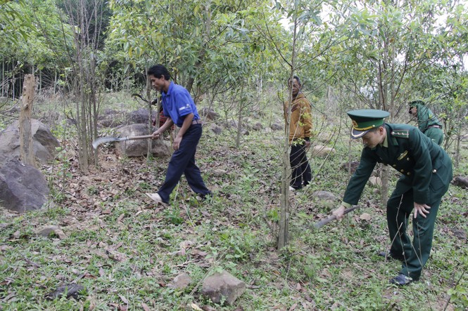 'Giữ lửa' bên đỉnh Ku Vơ - ảnh 1