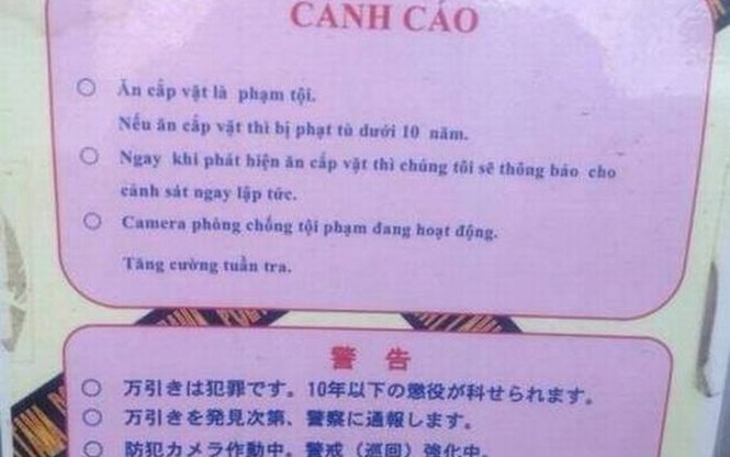 Du học sinh và nguy cơ đánh mất mình - ảnh 2