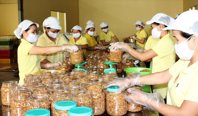 Nhộn nhịp đơn hàng xuất khẩu đầu năm - ảnh 1