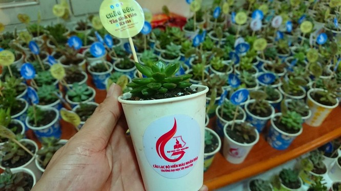 Ngày mai khởi động chương trình chủ nhật đỏ trên Tây Nguyên - ảnh 3