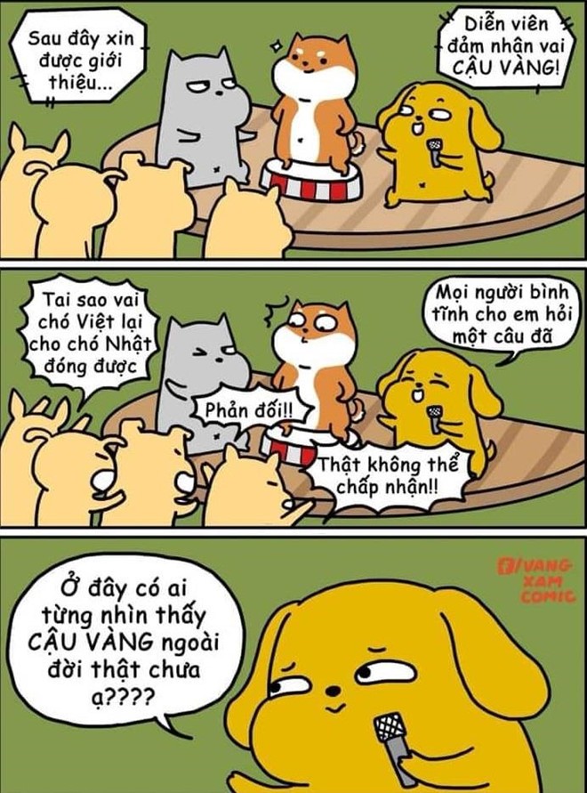 Tranh cãi gay gắt việc chó ngoại quốc vào vai 'Cậu Vàng' của 'Lão Hạc' - ảnh 8