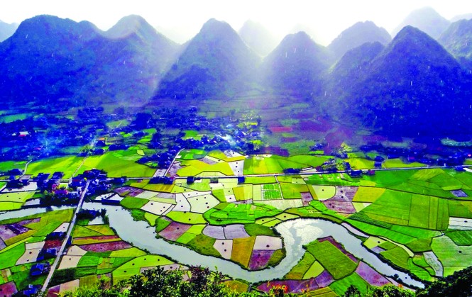 Kỳ lạ rừng nghiến Đông Đằng - ảnh 2