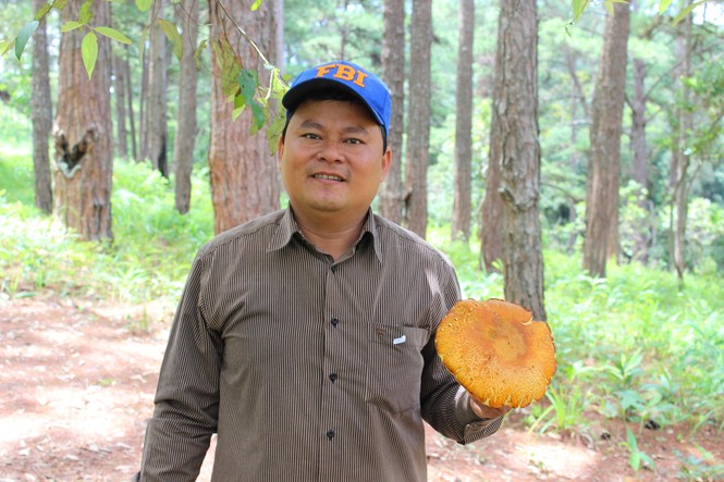 Lội rừng cùng chuyên gia nấm - ảnh 2