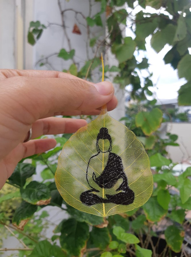 Cứu cánh từ lá bồ đề - ảnh 1