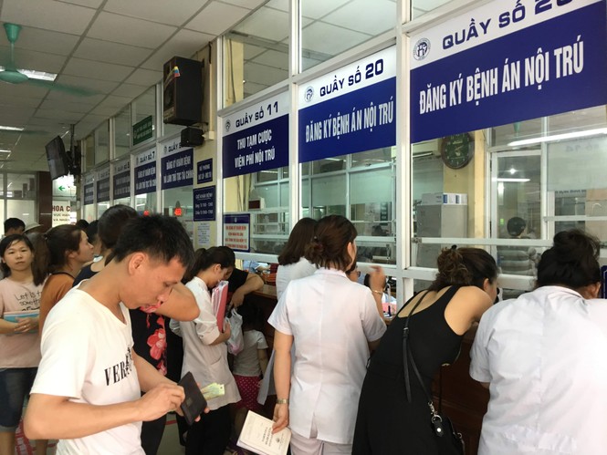 Lợn bị cấm ăn bèo, nuôi trùn quế bị phạt 50 triệu: Ai 'đẻ' quy định gây khó dân? - ảnh 1