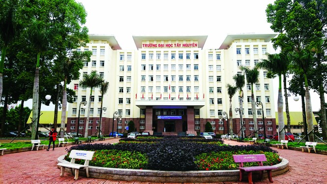 Cung ứng nguồn nhân lực chất lượng, đào tạo theo đơn đặt hàng - ảnh 1
