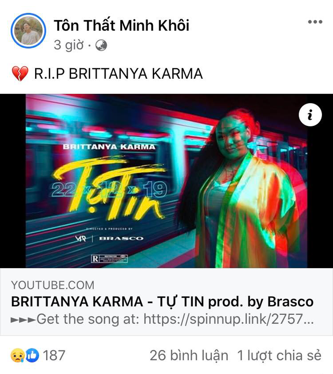Nghệ sĩ Việt xót xa trước sự ra đi của vlogger Brittanya Karma vì COVID-19 - ảnh 5