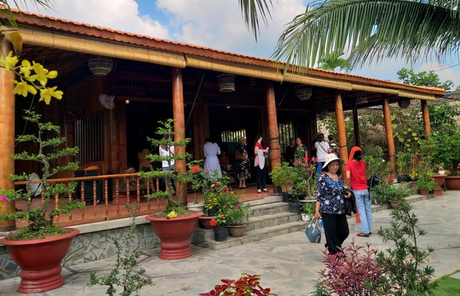Độc đáo căn nhà xưa Nam bộ làm hoàn toàn bằng gỗ dừa - ảnh 2