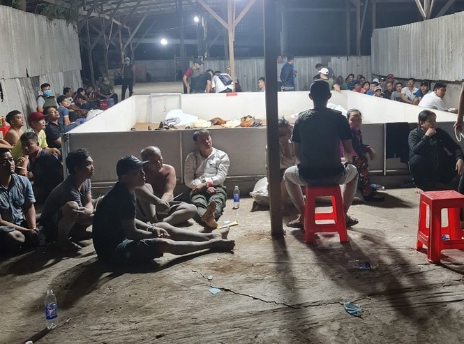 Bắt quả tang 153 đối tượng sát phạt trong kho gạo bỏ hoang - ảnh 2