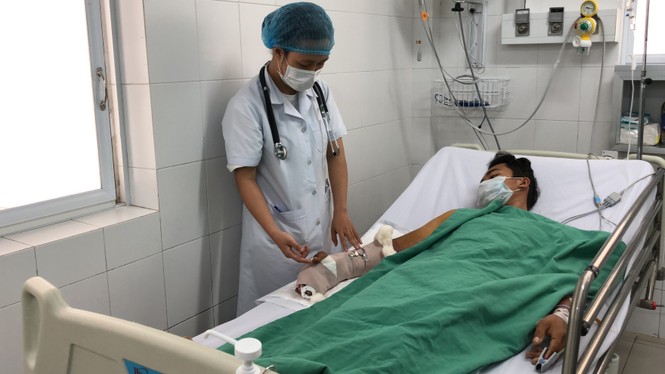 Trồng sả để phòng rắn, nào ngờ bị rắn cắn trong bụi sả - ảnh 1
