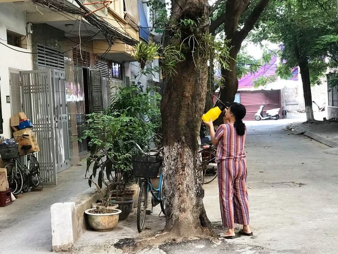 Cận cảnh cuộc sống người dân quanh nhà máy Rạng Đông sau tẩy độc - ảnh 5