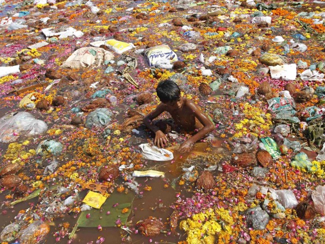 Một cậu bé nhặt dừa do những người đi cúng bái ném xuống dòng sông Sabarmati sau lễ cúng thần Ganesh, thần voi của đạo Hindu, biểu tượng của thịnh vượng ở thành phố Ahmedabad, miền tây Ấn Độ