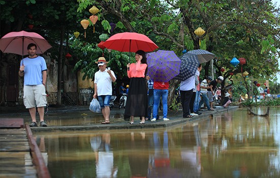 Nước lên ngấp nghé chân Chùa Cầu