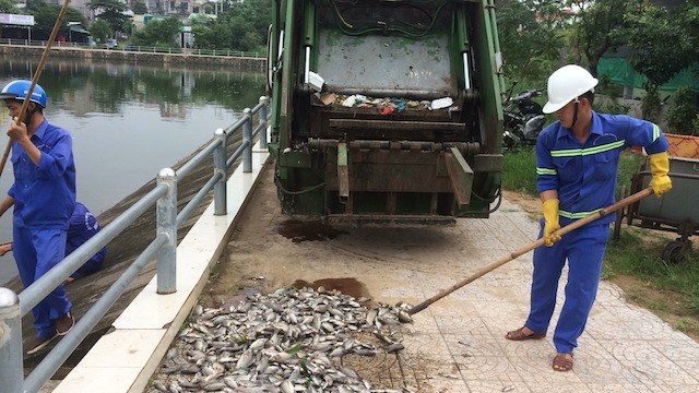 Xác định nguyên nhân hàng tấn cá chết nổi trắng hồ ở Quảng Trị - ảnh 1