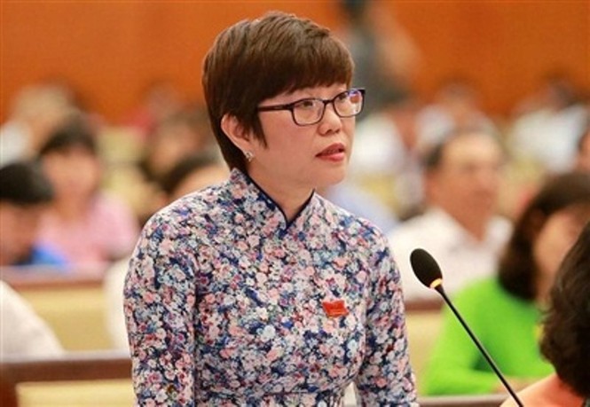 HĐND TPHCM chất vấn Giám đốc Công an TP - ảnh 1