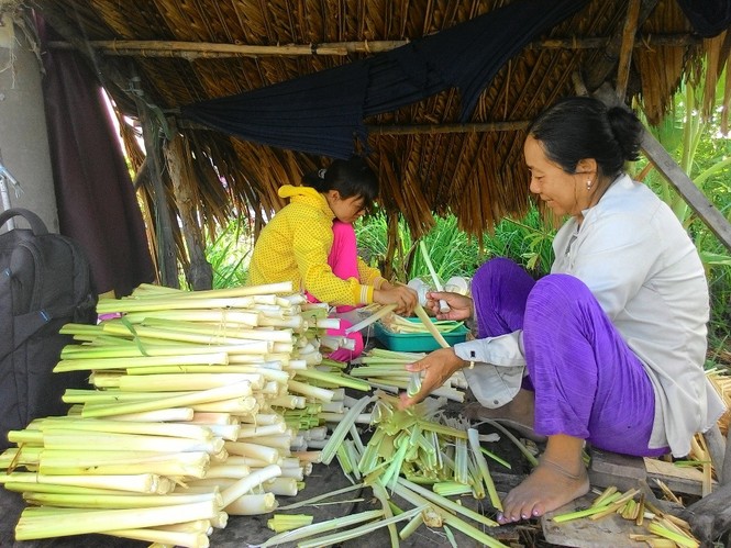 Từ cây gây hại trở thành đặc sản vùng đất Mũi - ảnh 3