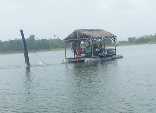 Theo chân “lâm tặc” xem khai thác gỗ dưới lòng hồ ở Panama - ảnh 2